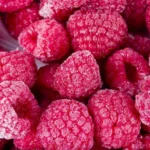 Українська заморожена малина завойовує європейський ринок