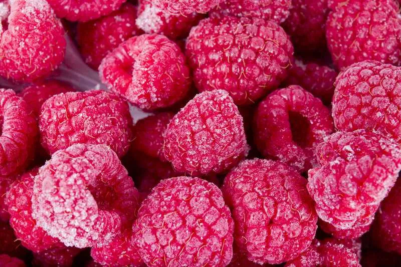 Українська заморожена малина завойовує європейський ринок Українська заморожена малина завойовує європейський ринок