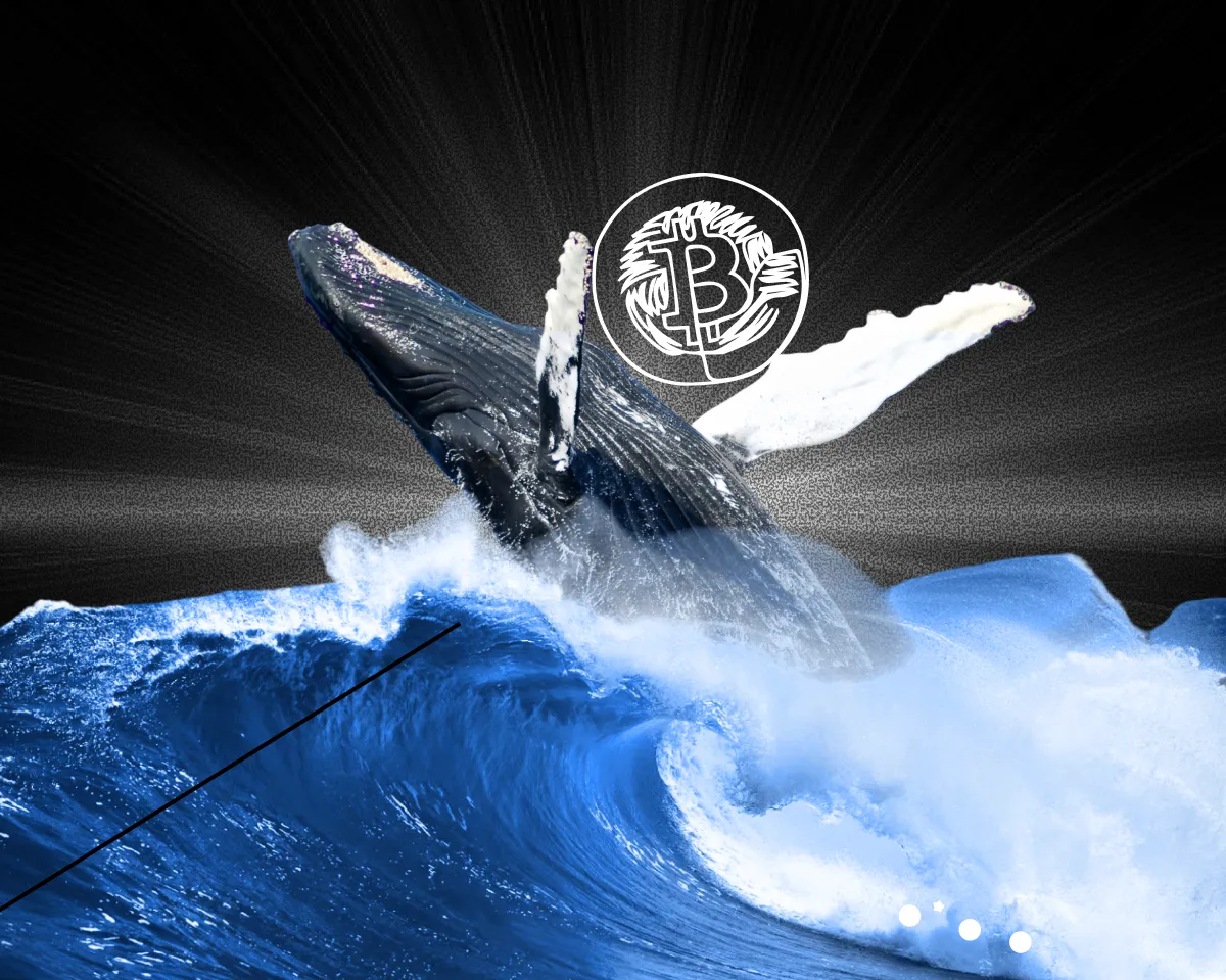 Кит продал купленные 13 лет назад биткоины за  млн – ForkLog: криптовалюты, ИИ, сингулярность, будущее